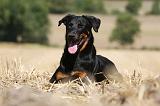 BEAUCERON 748